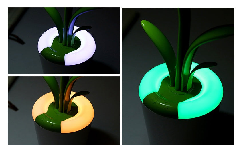 Modern LED Desk Lamp